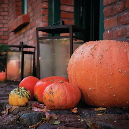 3 Bedroom Stunning In Wolin Semesterbostad *