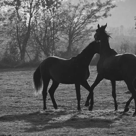 3 Bedroom Stunning In Wolin