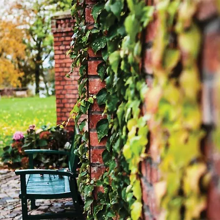 3 Bedroom Stunning In * Волин