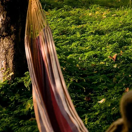 Semesterbostad 3 Bedroom Stunning In Wolin Wolin