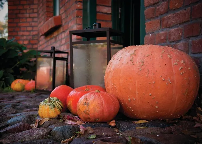 3 Bedroom Stunning In 度假居 *