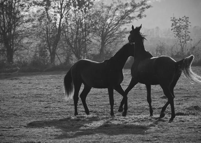 3 Bedroom Stunning In