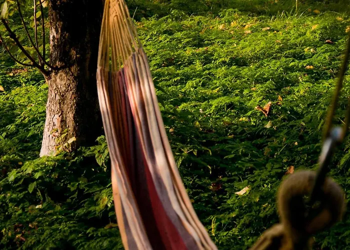 بيت للعطل 3 Bedroom Stunning In ولين