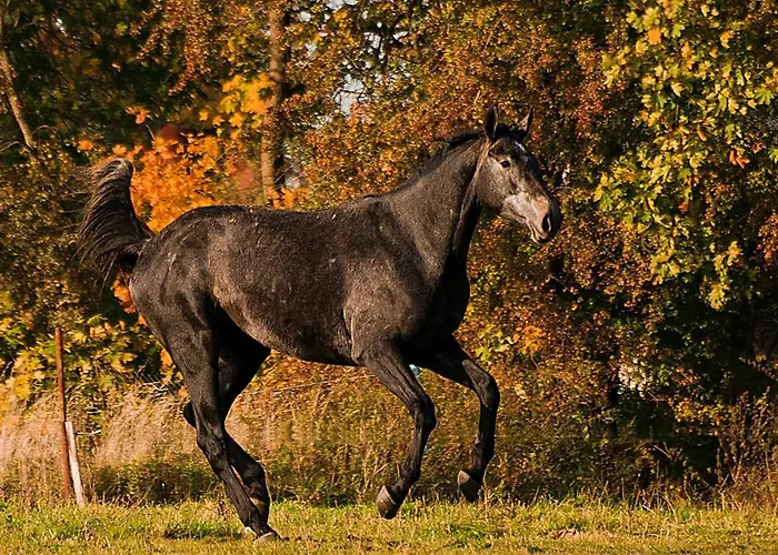 3 Bedroom Stunning In * 沃林